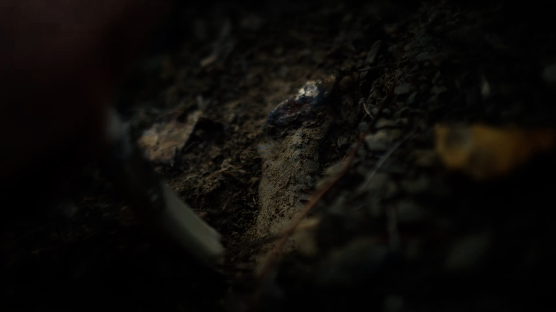 Fossile affleurant dans la roche lors d'une découverte paléontologique — film Empreinte